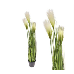 Monkey grass x 3 σε κασπώ,85cm