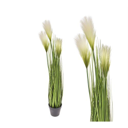 Monkey grass x 3 σε κασπώ,85cm