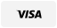 Visa Logo